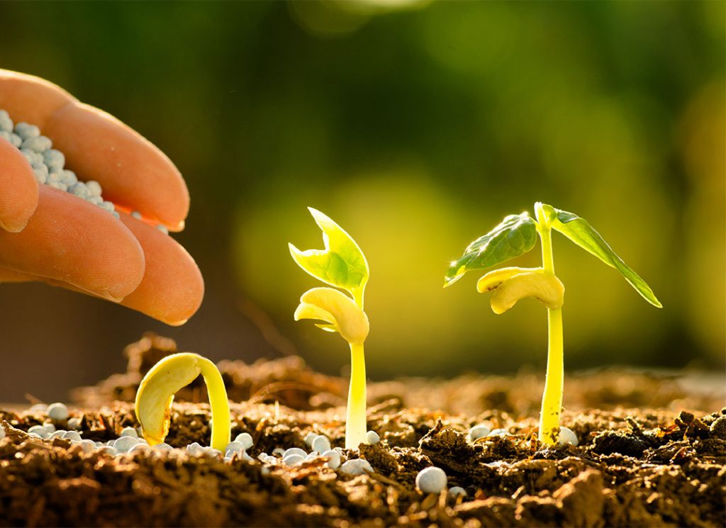 Поставка СЗР