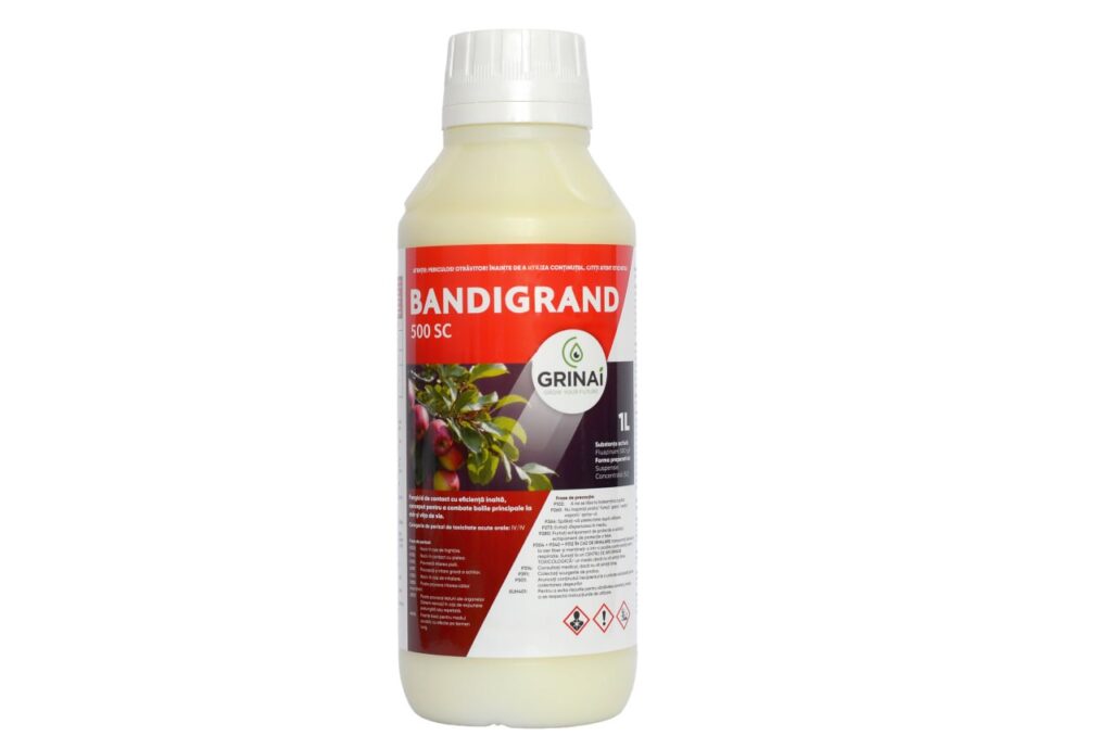 BANDIGRAND 500 SC