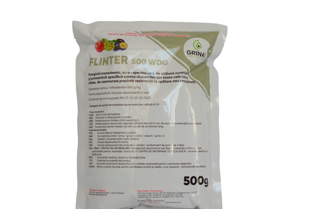 FLINTER  500 WDG