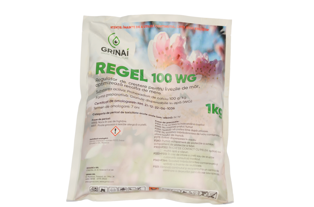 REGEL 100 WG